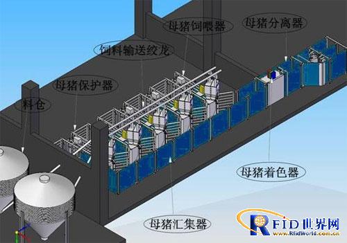 RFID automatic pig farm feeding system solution