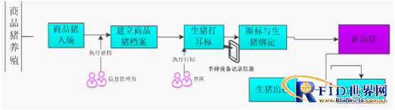 Commercial pig breeding business flow chart
