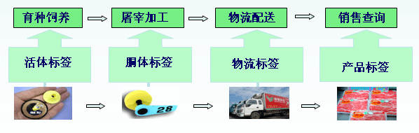 RFID pig industry production traceability management solution
