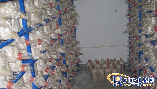 Modern edible fungus industry implementation plan based on Internet of Things technology