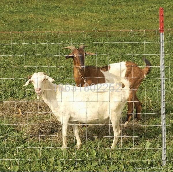 RFID access statistics for cattle breeding and sheep breeding