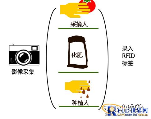 RFID food traceability system