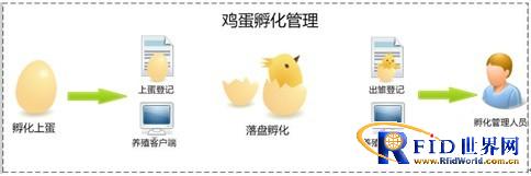 Egg incubation management module solution
