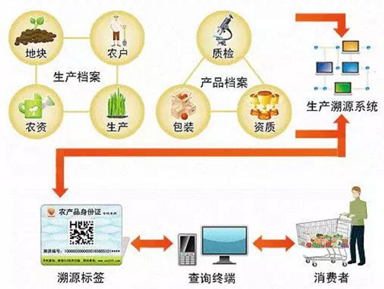 Customized development plan for agricultural product traceability platform system