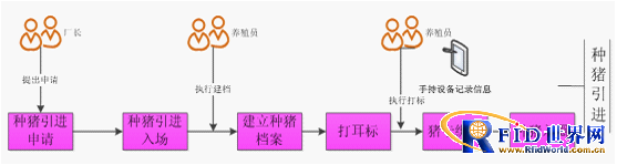 RFID pig breeding information management system