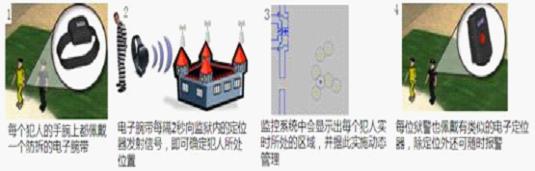 Brief Introduction of Intelligent Prison Management System