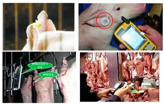 RFID-based traceability management solution