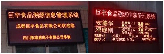 RFID pig slaughter information collection system solution