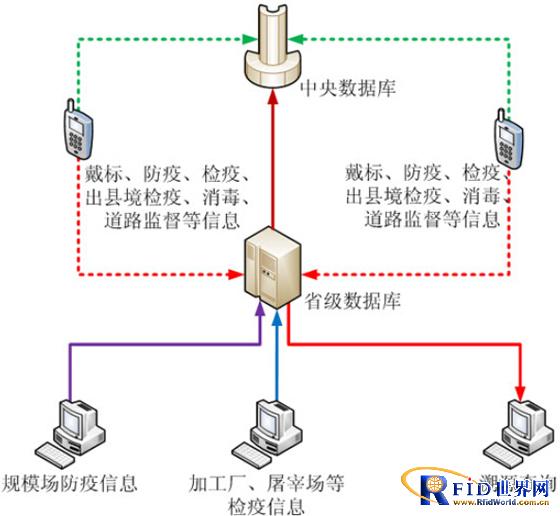 Animal traceability information management system