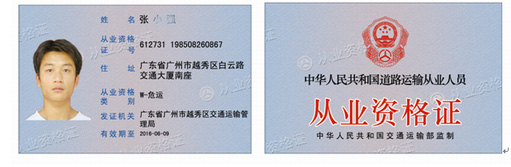 Electronic License Plate Management System