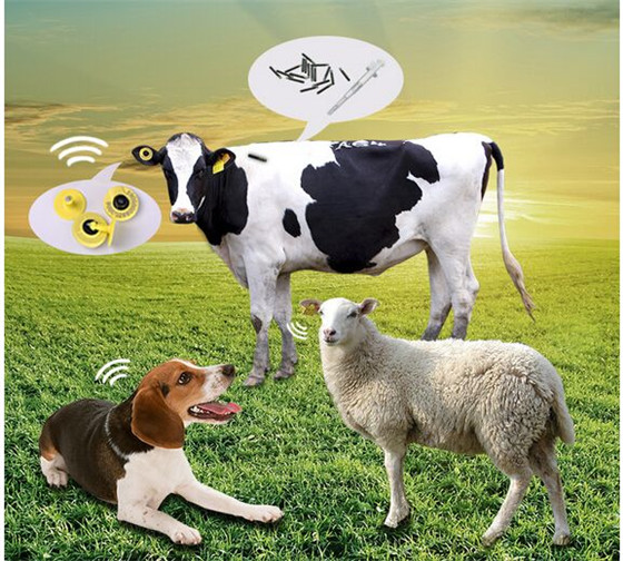 RFID farm animal husbandry solutions