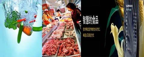 RFID solutions in vegetable and pig food safety management