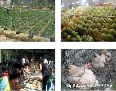RFID food safety anti-counterfeiting traceability management solution