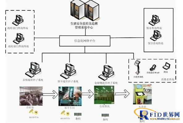 RFID pig safety monitoring and traceability management system
