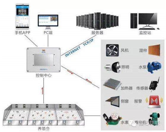 In the future, the automation of animal husbandry will be realized through the remote measurement and control system of the intelligent livestock and poultry breeding environment