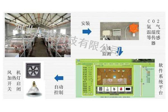 In the future, the automation of animal husbandry will be realized through the remote measurement and control system of the intelligent livestock and poultry breeding environment