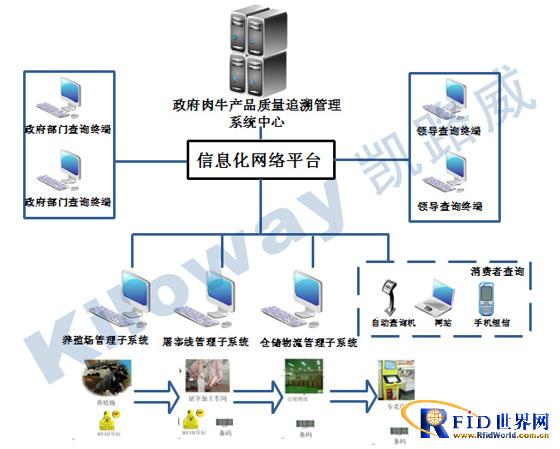 RFID technology-based beef cattle product quality traceability management system