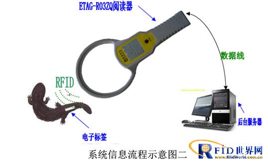 Low frequency 134.2KHz baby fish breeding management RFID solution