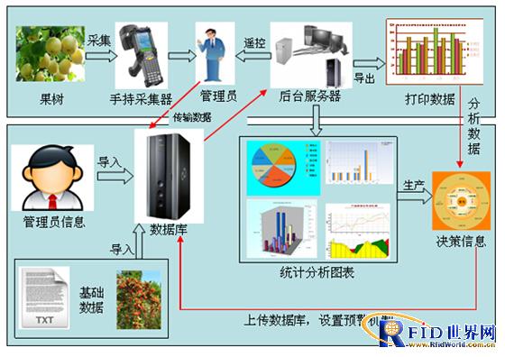 RFID fruit tree intelligent management scheme