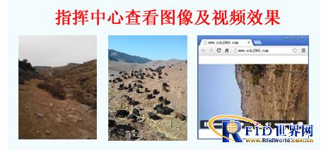 GPS forest protection personnel intelligent patrol management plan