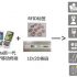 Vehicle management based on active 433MHz+125KHz dual-frequency RFID