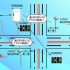 Food traceability system