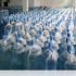 Intelligent monitoring system solution for aquaculture environment
