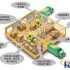 Customs automatic release management system
