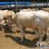 Food traceability system
