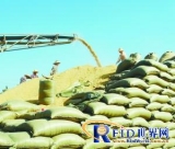 Digital Grain Depot Management System Solution Based on RFID Internet of Things