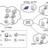 Application scheme of high-definition video surveillance in hospital security