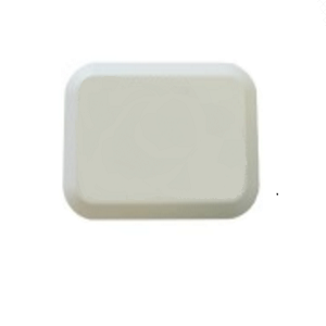 UHF 860-960 MHz License Plate RFID Tag