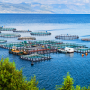 GAO RFID Aquaculture Farm Asset Management System