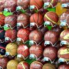 GAO RFID Sporting Goods Store Inventory Management System