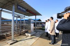 RFID intelligent weighing and grouping system, cattle weighing re-equipment, has been successfully used in many regions
