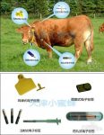 Application of RFID in animal identification and tracking