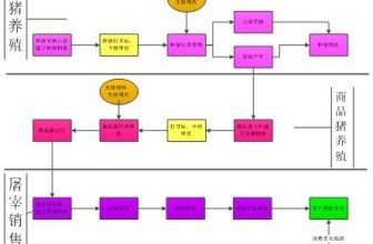 Application Case of “Live Pig Food Traceability System” of Yixing Changxing Ecological Agriculture Co., Ltd.