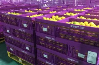 China’s fresh food e-commerce’s first unitized cold chain logistics case