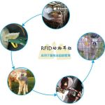 RFID animal husbandry management provides a scientific management mode