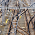 Every roll of paper has a memory chip! RFID helps paper roll conveyor line management