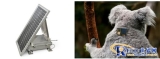 Telit technology assists in tracking koalas and monitoring their health