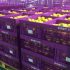 How to make the logistics and transportation of valuables safe and efficient, RFID technology will help!