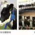 RFID tunnel personnel safety management system applied to China Coal Construction Shanghai Branch