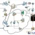 Successful case of RFID animal traceability management system