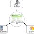 Successful Cases of Internet of Things Chicken Raising