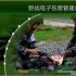 RFID baggage sorting technology helps increase airport efficiency by 2 times